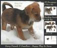 Furry Friends & Familiars - Puppy in the Snow 2 Insert & Tag