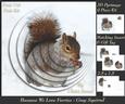 Because We Love Furrys - Grey Squirrel + Insert & Tag