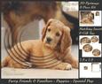 Furry Friends & Familiars - Puppies - Cocker Spaniel + Tag +
