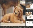 Furry Friends & Familiars - Puppies - Cocker Spaniel + Tag +