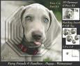 Furry Friends & Familiars - Puppies - Weimaraner +insert+tag