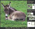 Because We Love Furries - Young Donkey + Insert & Tag