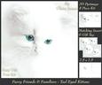Furry Friends & Familiars - Teal Eyed Kitten + Insert & Tag