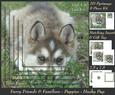 Furry Friends & Familiars - Puppies Husky Pup + Insert & Tag