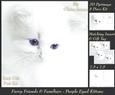 Furry Friends & Familiars - Purple Eyed Kitten +insert & Tag