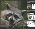 Because We Love Furries - Sweet Raccoon + Insert & Tag