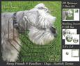 Furry Friends & Familiars - Dogs - Scottish Terrier + Tag +