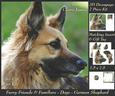 Furry Friends & Familiars - Dogs - German Shepherd 2 + Tag +