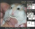 Furry Friends & Familiars - Hamster Hugs + Insert & Tag