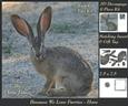 Because We Love Furries - Hare + Insert & Tag