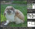 Furry Friends & Familiars - Dwarf Lop Ear Rabbit +tag+
