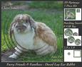 Furry Friends & Familiars - Dwarf Lop Ear Rabbit +tag+