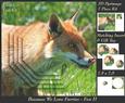 Because We Love Furries - Beautiful Fox 2 + Insert & Tag