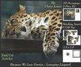 Because We Love Furries - Lounging Leopard + Insert & Tag