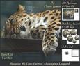 Because We Love Furries - Lounging Leopard + Insert & Tag