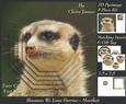 Because We Love Furries - Cute Meerkat Lookout +insert & Tag