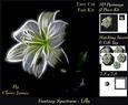 Fantasy Spectrum - Floral - Gorgeous Lilly + Insert & Tag