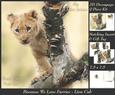 Because We Love Furries - Curious Lion Cub + Insert & Tag