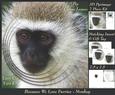 Because We Love Furries - Cute Little Monkey + Insert & Tag