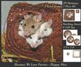 Because We Love Furries - Happy Pet Mice + Insert & Tag