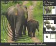 Because We Love Mammals - Elephants Mother & Child + Tag +