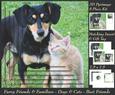 Furry Friends & Familiars - Cats & Dogs - Best Friends +tag+