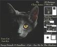 Furry Friends & Familiars - Cats - See Me in Shadows +tag+