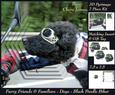 Furry Friends & Familiars - Dogs - Black Poodle Biker +tag+
