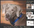 Furry Friends & Familiars - Dogs - Weimaraner + Insert & Tag