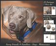 Furry Friends & Familiars - Dogs - Weimaraner + Insert & Tag
