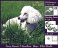 Furry Friends & Familiars - Dogs - White Poodle + Insert+tag
