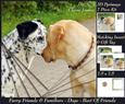 Furry Friends & Familiars - Dogs - Best of Friends +tag+