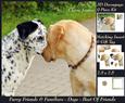 Furry Friends & Familiars - Dogs - Best of Friends +tag+