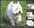 Furry Friends & Familiars - Dog - West Highland Terrier Tag+
