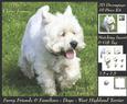 Furry Friends & Familiars - Dog - West Highland Terrier Tag+