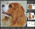 Furry Friends & Familiars - Dogs - King Charles Spaniel Tag+