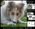 Furry Friends & Familiars - Puppy - Sable Rough Collie +tag+