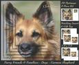 Furry Friends & Familiars - Dogs - German Shepherd 3 + Tag +