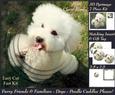 Furry Friends & Familiars - Dogs - Poodle Cuddles Please +