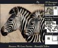 Because We Love Furries - Beautiful Zebras + Insert & Tag