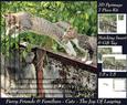 Furry Friends & Familiars - Cats - the Joy of Leaping +tag+