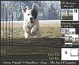 Furry Friends & Familiars - Dog - the Joy of Leaping +tag+