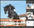 Because We Love Furries - Horses - the Joy of Leaping +tag+