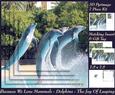Because We Love Mammals - Dolphins - the Joy of Leaping Tag+