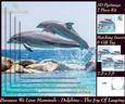 Because We Love Mammals - Dolphins - the Joy of Leaping Tag+