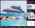 Because We Love Mammals - Dolphins - the Joy of Leaping Tag+