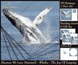 Because We Love Mammals - Whales - the Joy of Leaping Tag+