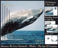 Because We Love Mammals - Whales - the Joy of Leaping Tag+