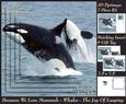 Because We Love Mammals - Whales - the Joy of Leaping Tag+
