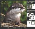 Because We Love Furries - Beautiful Otter + Insert & Tag